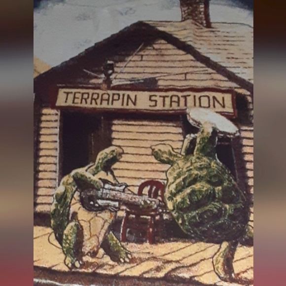 Rug barn Other - Grateful Dead/Terrapin station throw blanket/wall hanging, New 53"×65" NEW